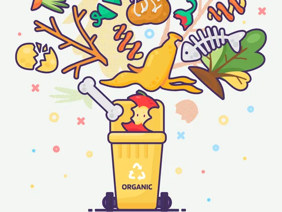 Illustration of a organic recycling bin with typical organic items being sorted into it.